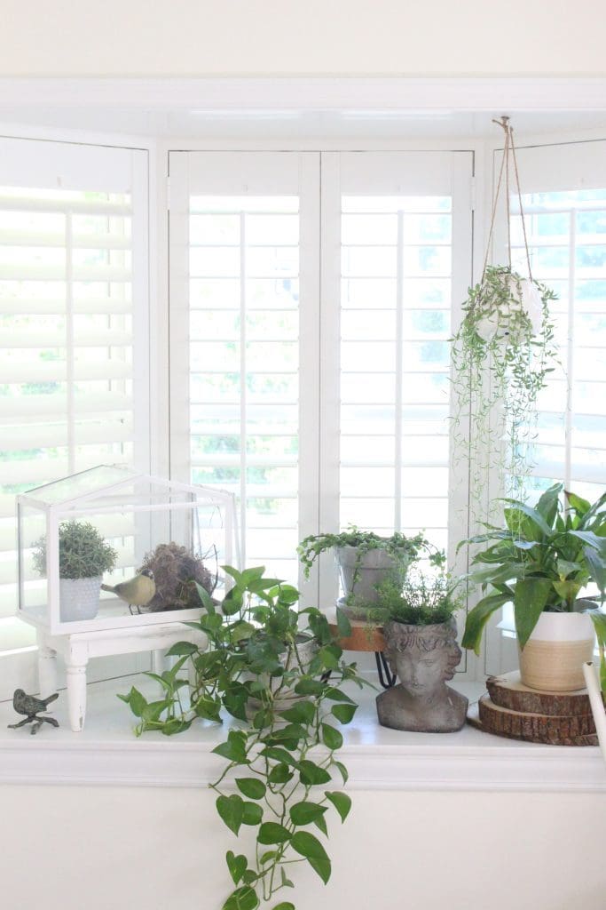 White Cottage Kitchen Renovation Reveal- kitchen renovation- remodel-kitchen reveal- cottage kitchen- white cabinets- vintage- green- wood countertops- cottage style- kitchen decor- kitchen design- garden- indoor plants- windowsill garden- bay window- kitchen garden- shutters- plant head lady