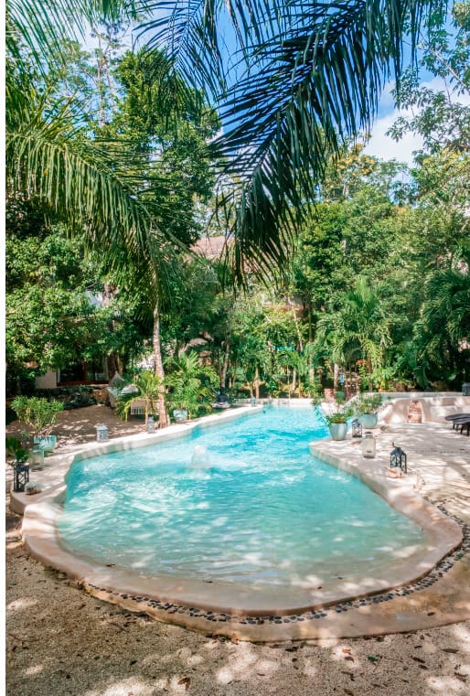 Natural rock-edged swimming pool at Cachito de Cielo Tulum surrounded by dense jungle palms and tropical plants