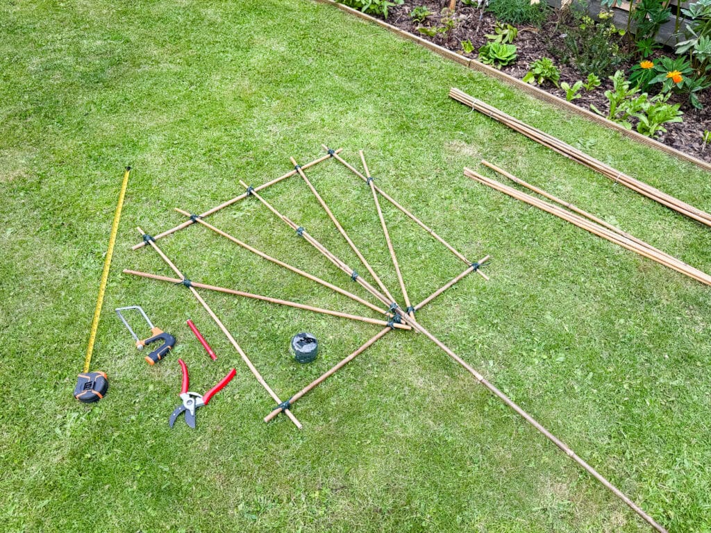 building a frame to pleach a tree